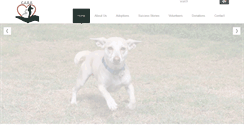 Desktop Screenshot of careshelter.org
